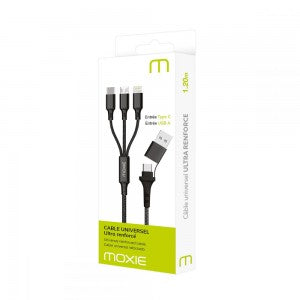 Câble de charge 3 en 1 avec entrée USB et Type C